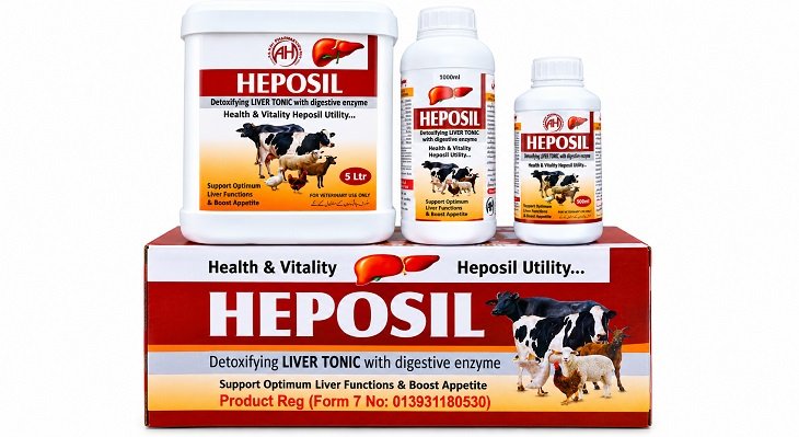 Heposil