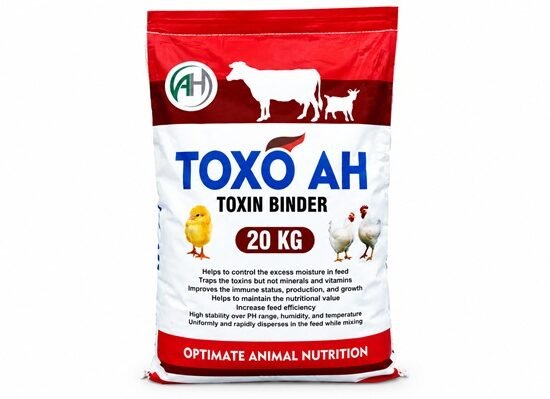 Toxo AH