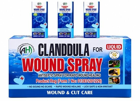 Clanddula