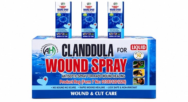 Clanddula