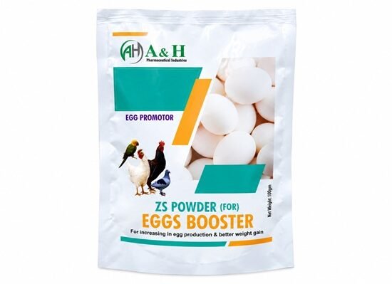 ZS Powder
