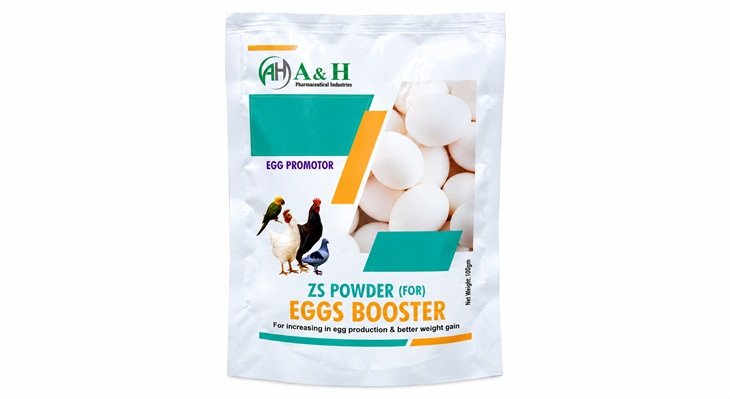 ZS Powder