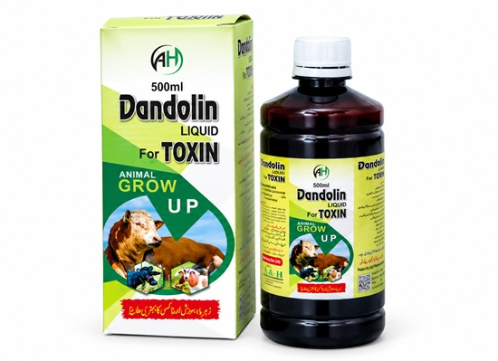 Dandolin