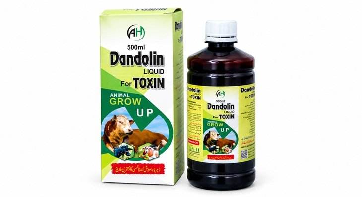 Dandolin