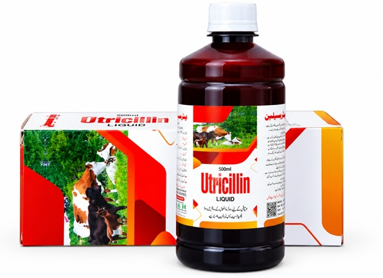 Utricilline