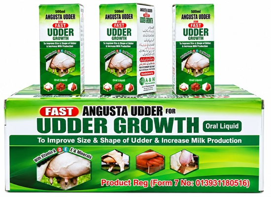 Angusta Udder