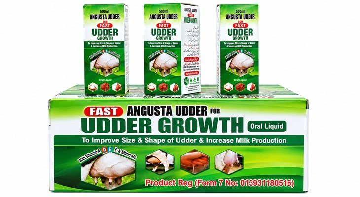 Angusta Udder